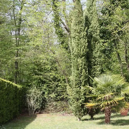 Les Enclos A 4 Mn De Chantilly Ламорле