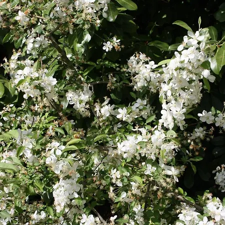 فندق مبيت وإفطار Les Enclos A 4 Mn De Chantilly Lamorlaye