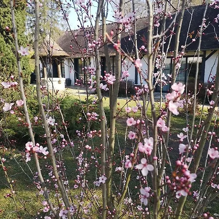 Bed & Breakfast Les Enclos A 4 Mn De Chantilly