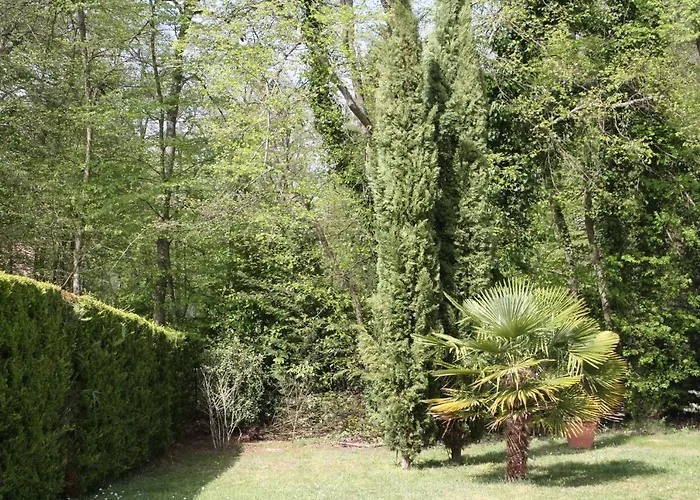 Les Enclos A 4 Mn De Chantilly 拉莫赫莱